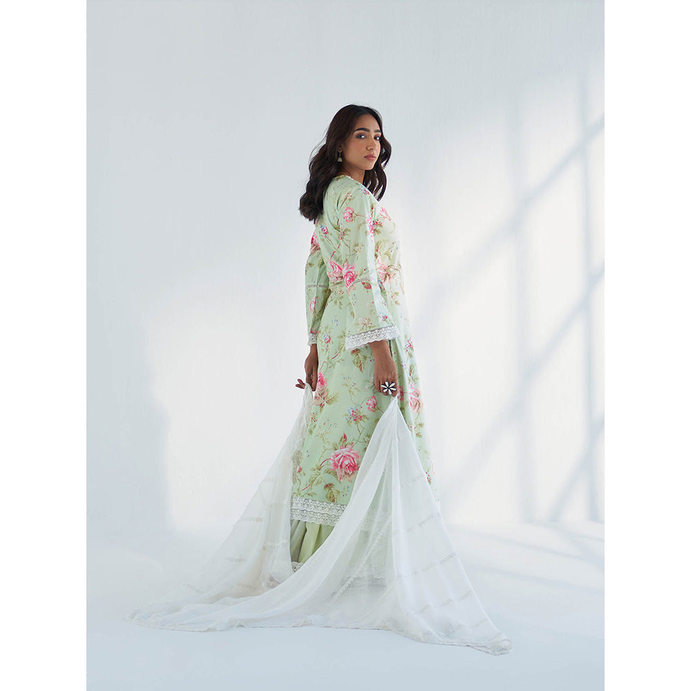 Roze Maysoon Dupatta