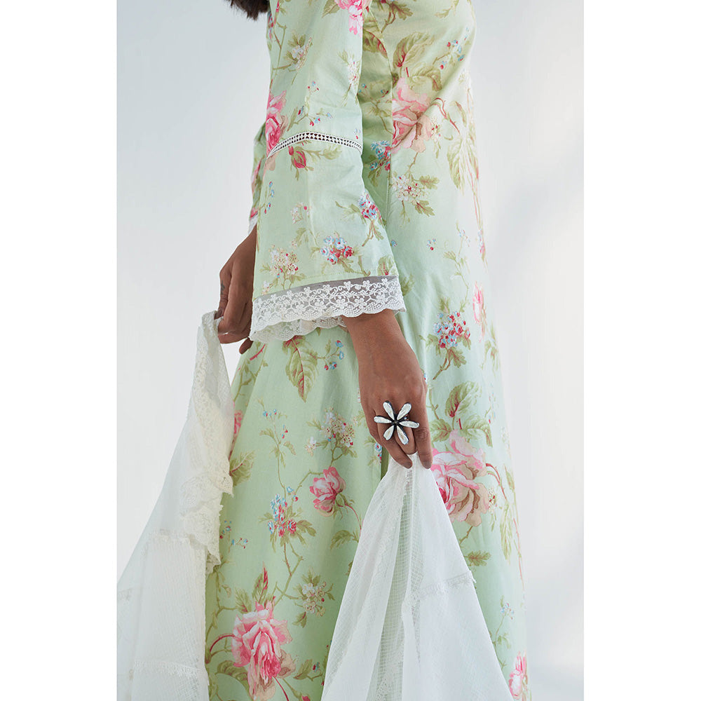 Roze Maysoon Dupatta