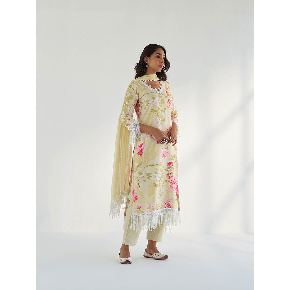 Roze Mahnoor Dupatta