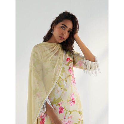 Roze Mahnoor Dupatta