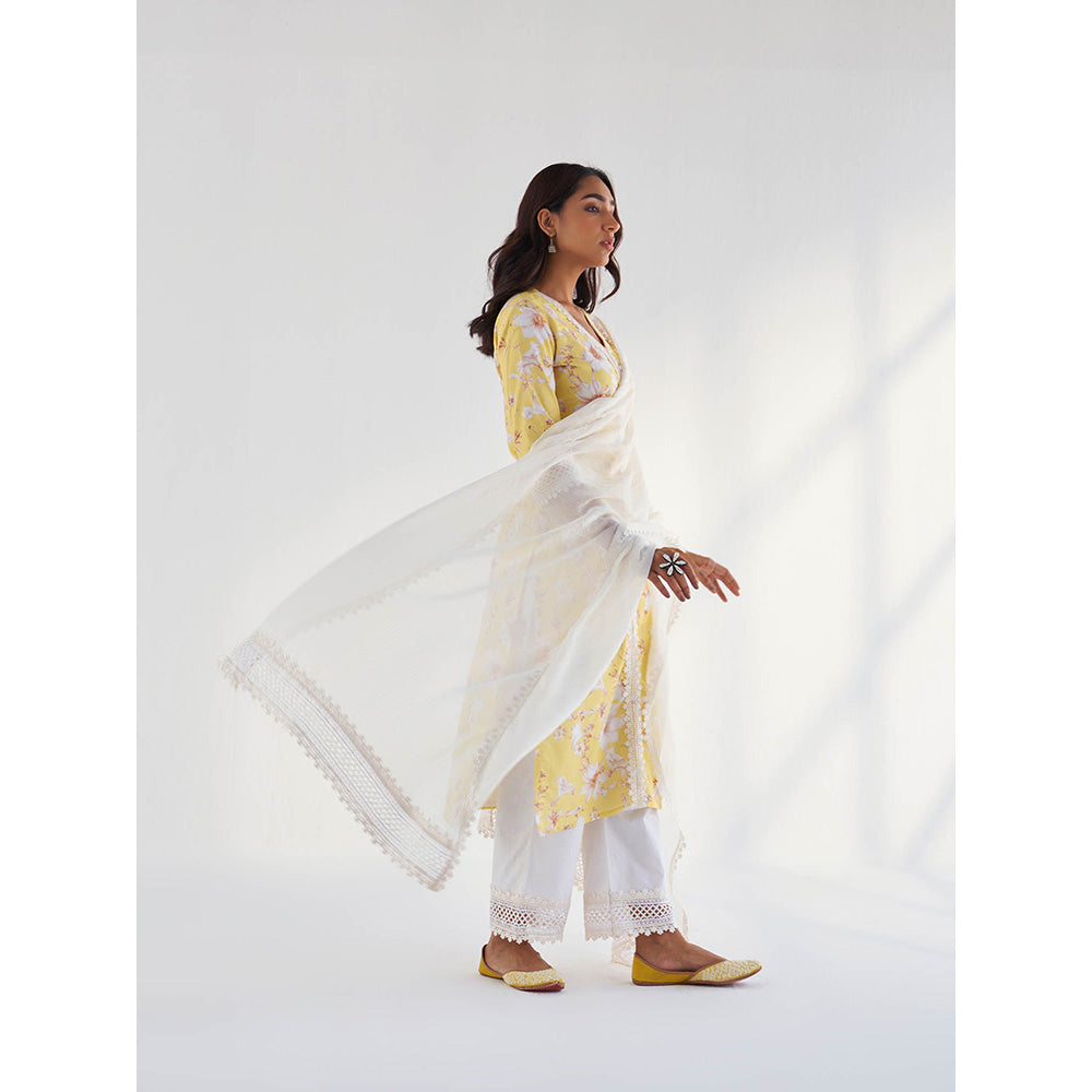 Roze Amina Dupatta