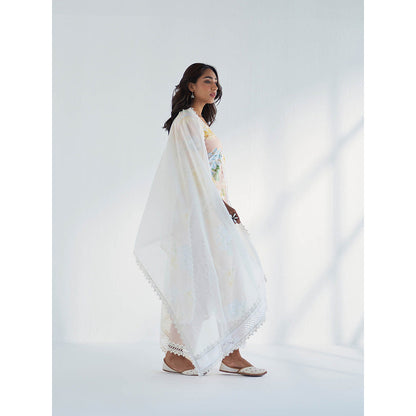 Roze Arfa Dupatta