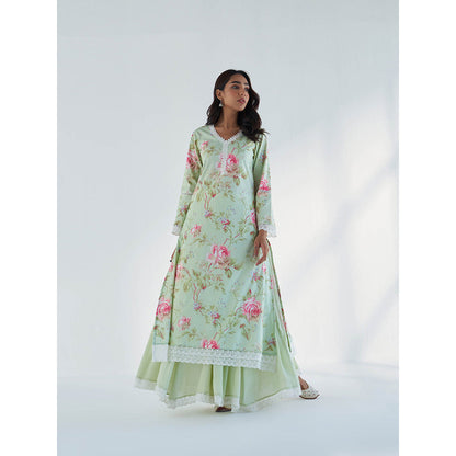 Roze Maysoon Kurta with Sharara & Dupatta (Set of 3)