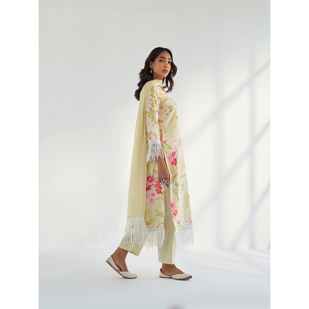 Roze Mahnoor Kurta with Pant & Dupatta (Set of 3)