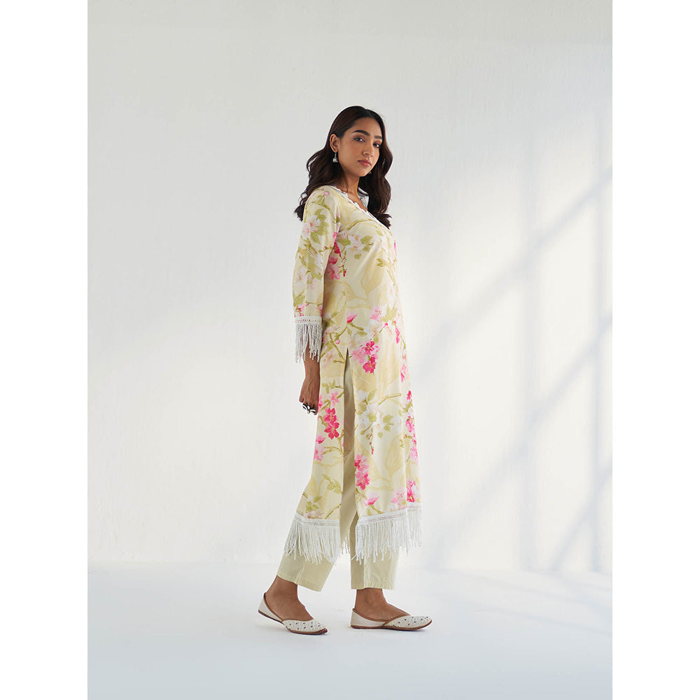 Roze Mahnoor Kurta