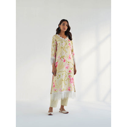 Roze Mahnoor Pant