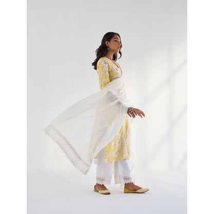 Roze Amina Kurta with Pant & Dupatta (Set of 3)