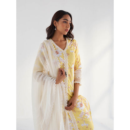 Roze Amina Kurta with Pant & Dupatta (Set of 3)