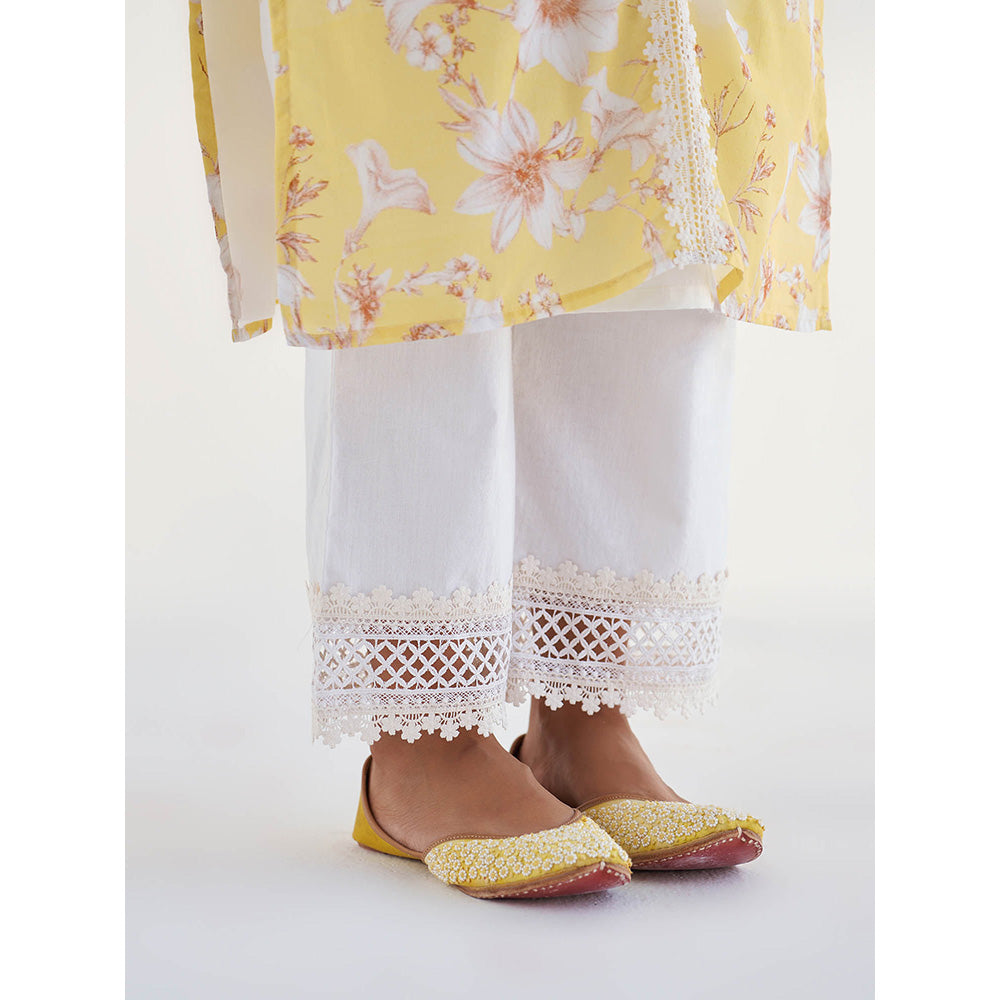 Roze Amina Kurta