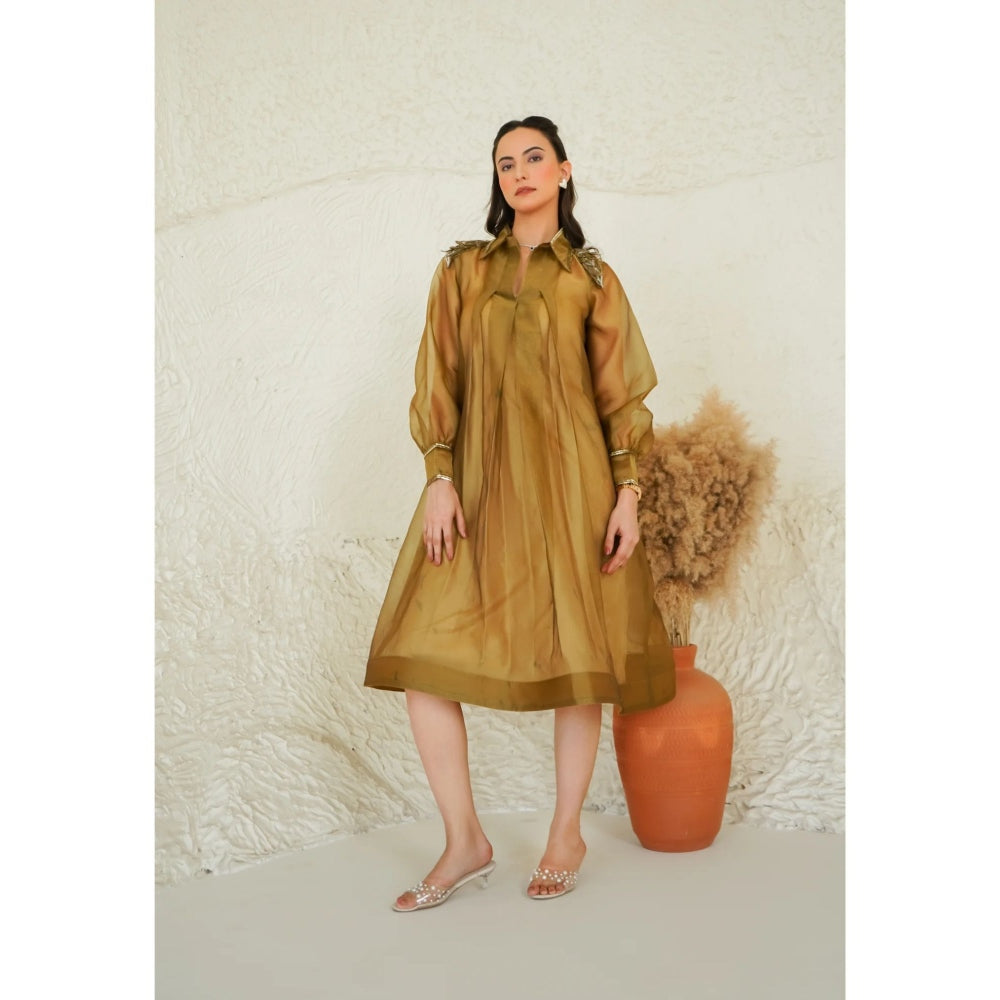 Ruhm Golden Sheer Flare Dress
