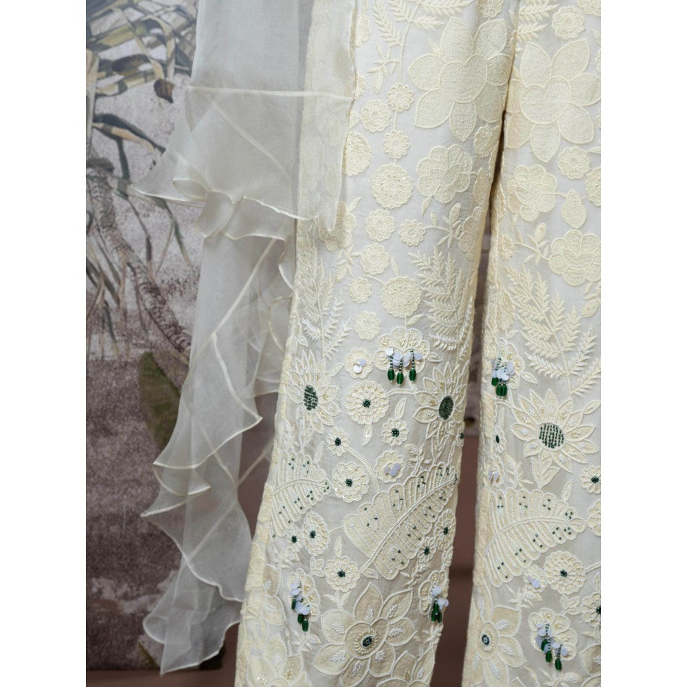 Sainy Garg Couture Chandni Crop Top with Pant An Cape (Set of 3)