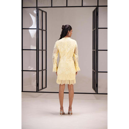 SAKSHI G CHAWLA Yellow Astroil Dress