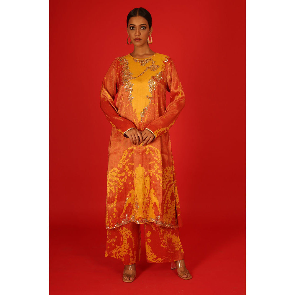 Saksham & Neharicka Ebru In Tissue Co-Ord (Set of 2)