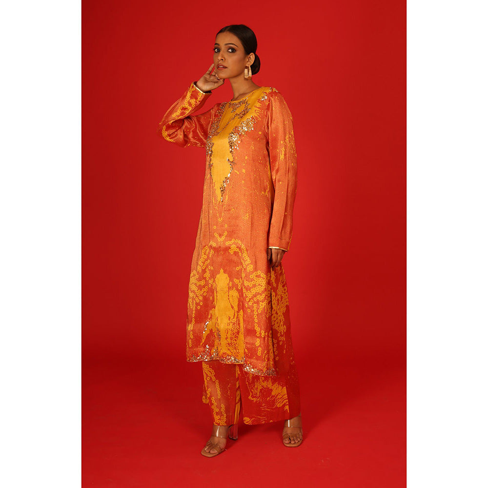 Saksham & Neharicka Ebru In Tissue Co-Ord (Set of 2)