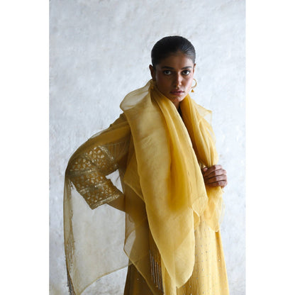 Saksham & Neharicka Yellow Mahua Kurta with Palazzo and Dupatta (Set of 3)