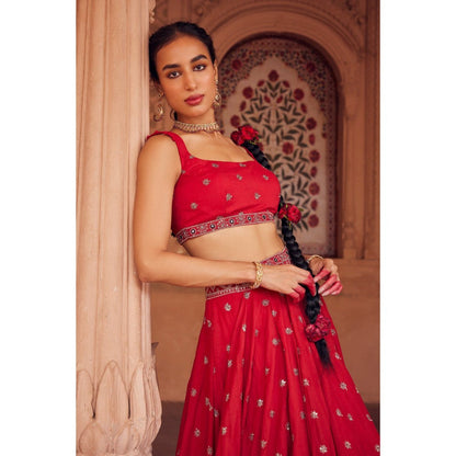 Seema Anand Afra Lehenga with Choli and Dupatta (Set of 3)