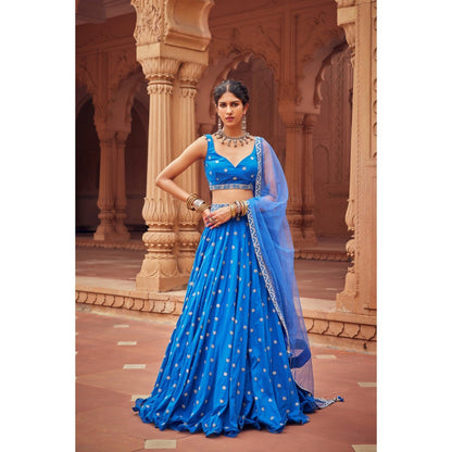 Seema Anand Ozza Lehenga with Choli and Dupatta (Set of 3)