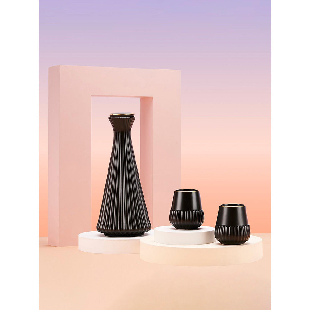 Shaze Juice and The Lavo Beverages Carafe