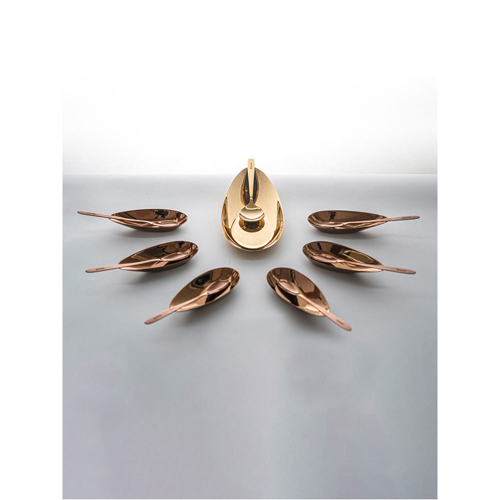 Shaze Stainless Steel The Comet Serving Tray