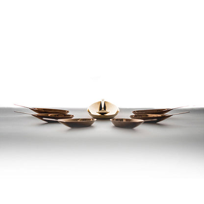 Shaze Stainless Steel The Comet Serving Tray