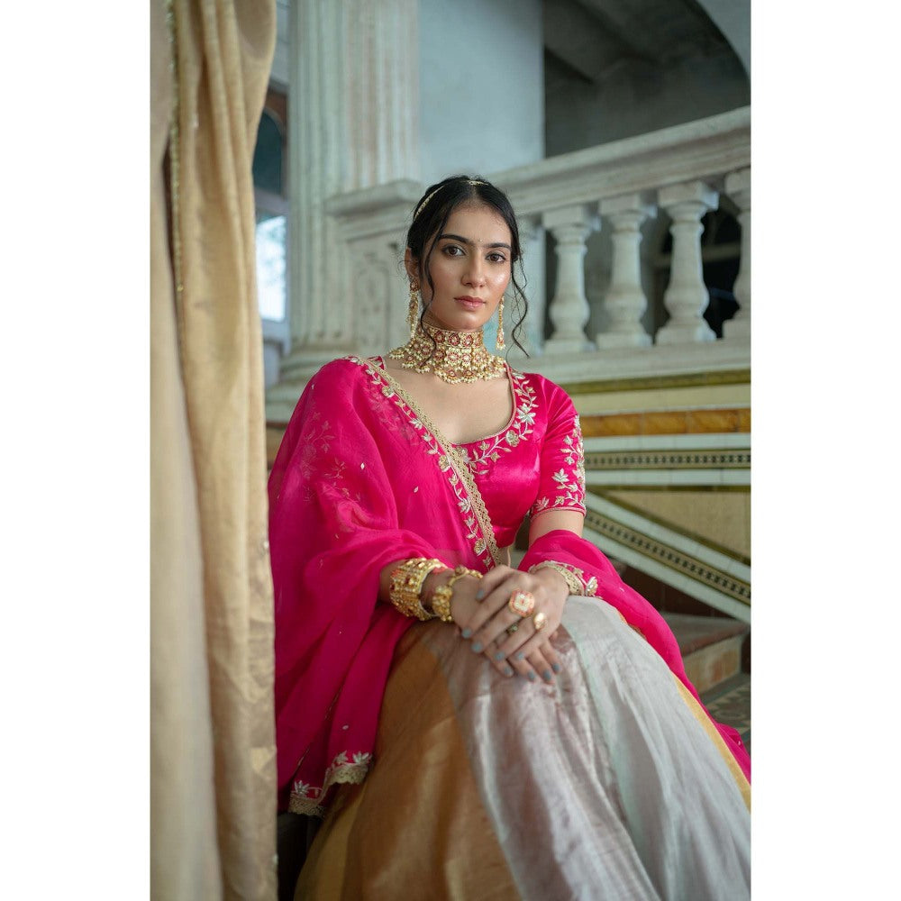 Sheela Suthar Pink Embroidered Lehenga with Dupatta, Blouse and Cancan Skirt (Set of 4)