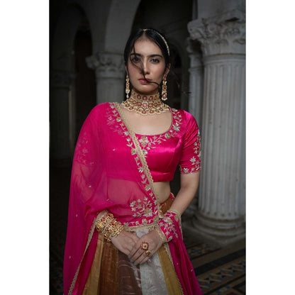Sheela Suthar Pink Embroidered Lehenga with Dupatta, Blouse and Cancan Skirt (Set of 4)