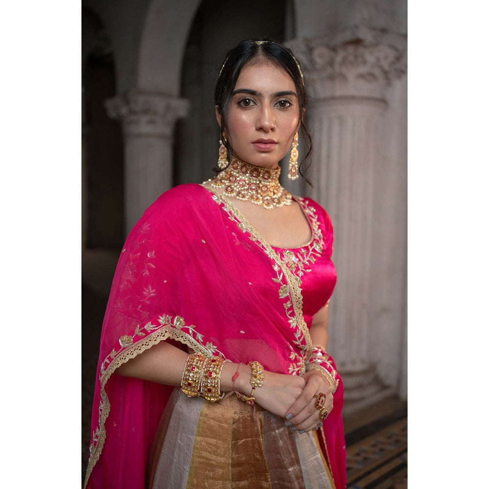 Sheela Suthar Pink Embroidered Lehenga with Dupatta, Blouse and Cancan Skirt (Set of 4)