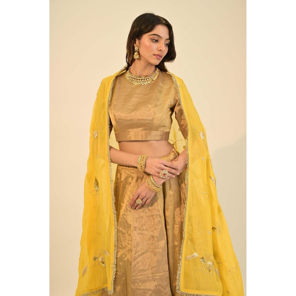 Sheela Suthar Zari Gold Lehenga with Blouse, Dupatta and Cancan Skirt (Set of 4)