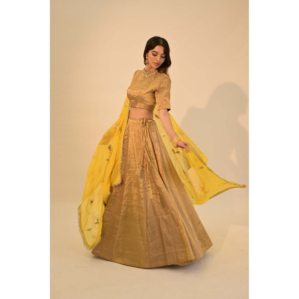 Sheela Suthar Zari Gold Lehenga with Blouse, Dupatta and Cancan Skirt (Set of 4)