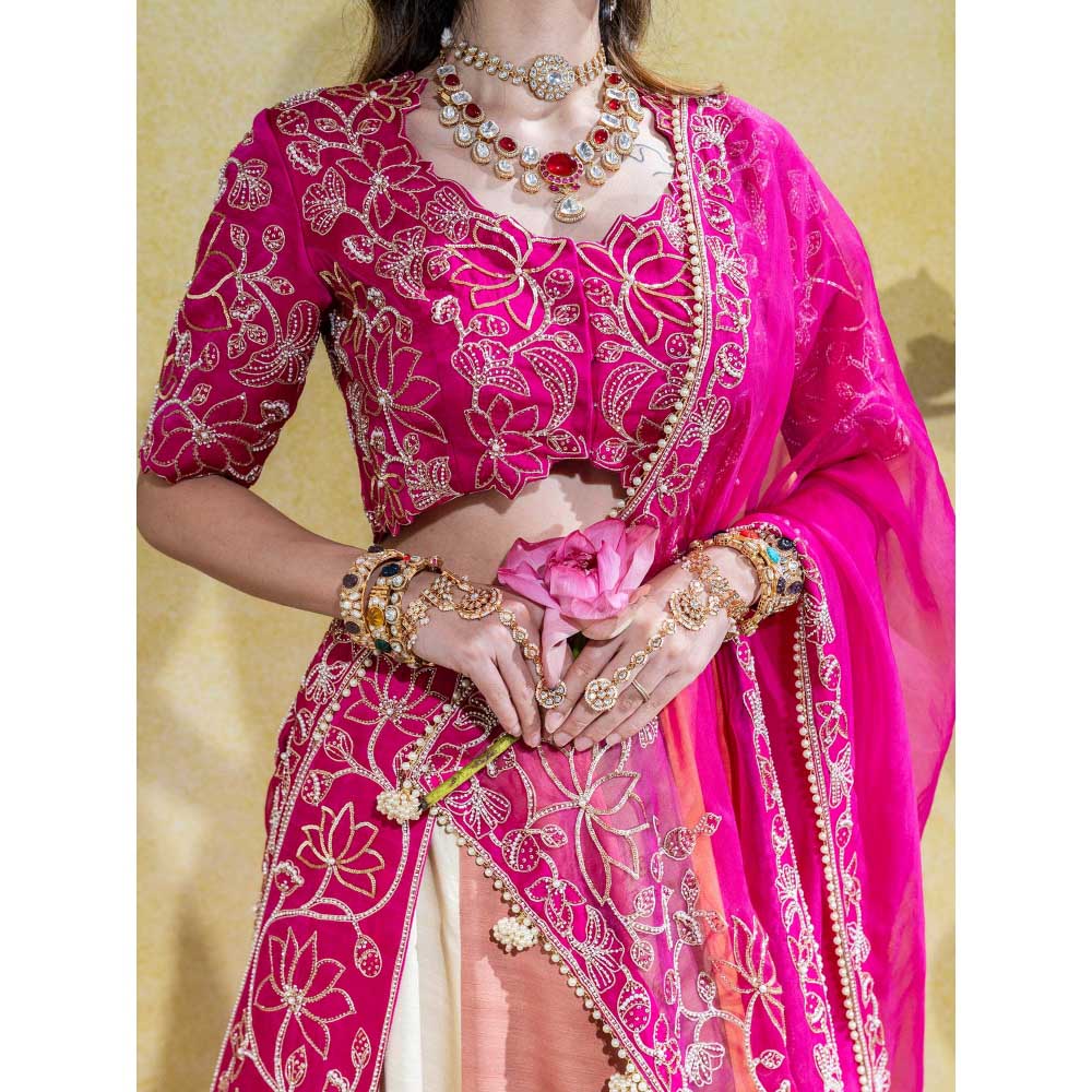 Sheela Suthar Pink Lehenga with Blouse, Dupatta, Kali Attachment and Cancan Skirt (Set of 5)