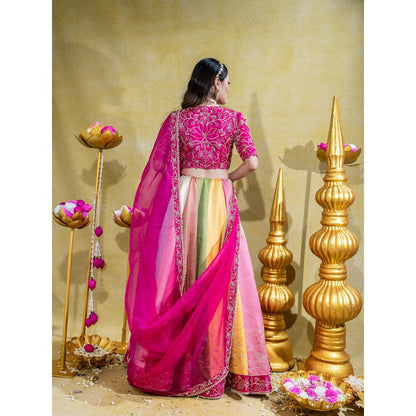 Sheela Suthar Pink Lehenga with Blouse, Dupatta, Kali Attachment and Cancan Skirt (Set of 5)