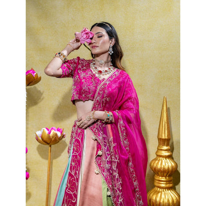 Sheela Suthar Pink Lehenga with Blouse, Dupatta, Kali Attachment and Cancan Skirt (Set of 5)