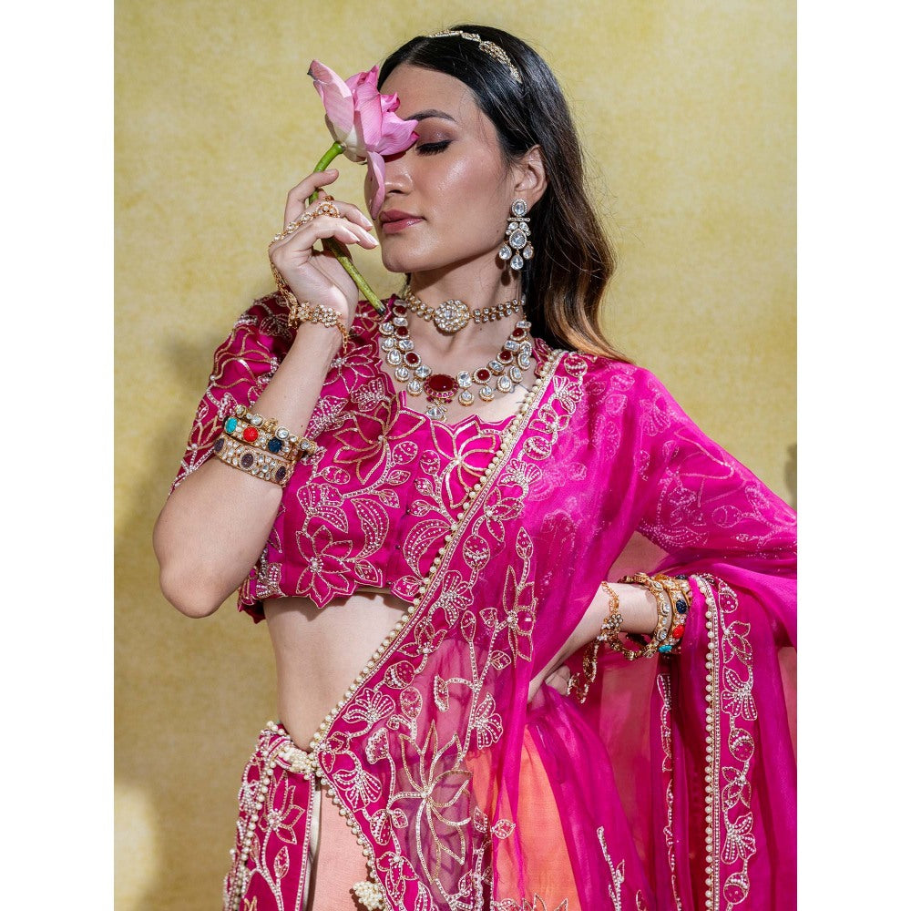 Sheela Suthar Pink Lehenga with Blouse, Dupatta, Kali Attachment and Cancan Skirt (Set of 5)