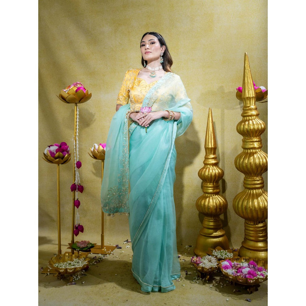 Sheela Suthar Blue Embroidered Saree with Stitched Blouse