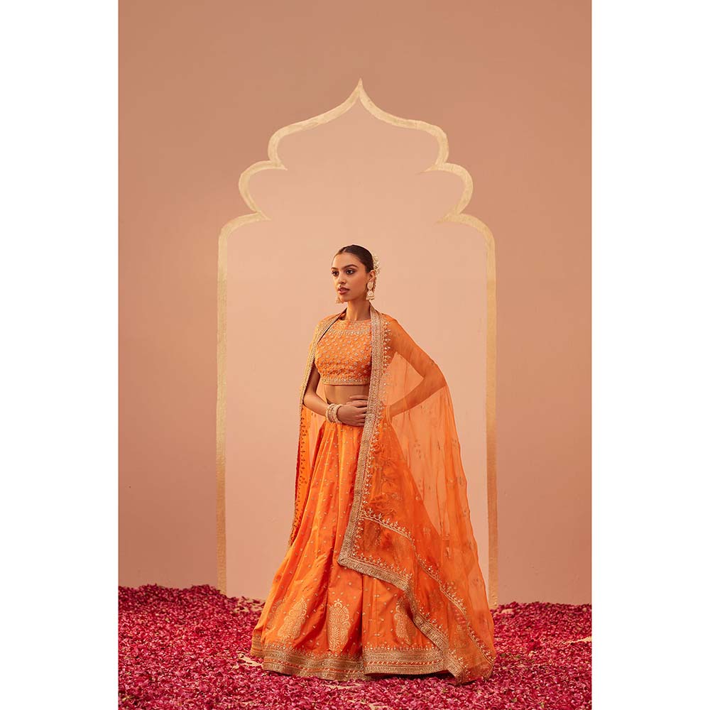 Sheetal Batra Orange Lehenga With Blouse And Dupatta (Set of 3)