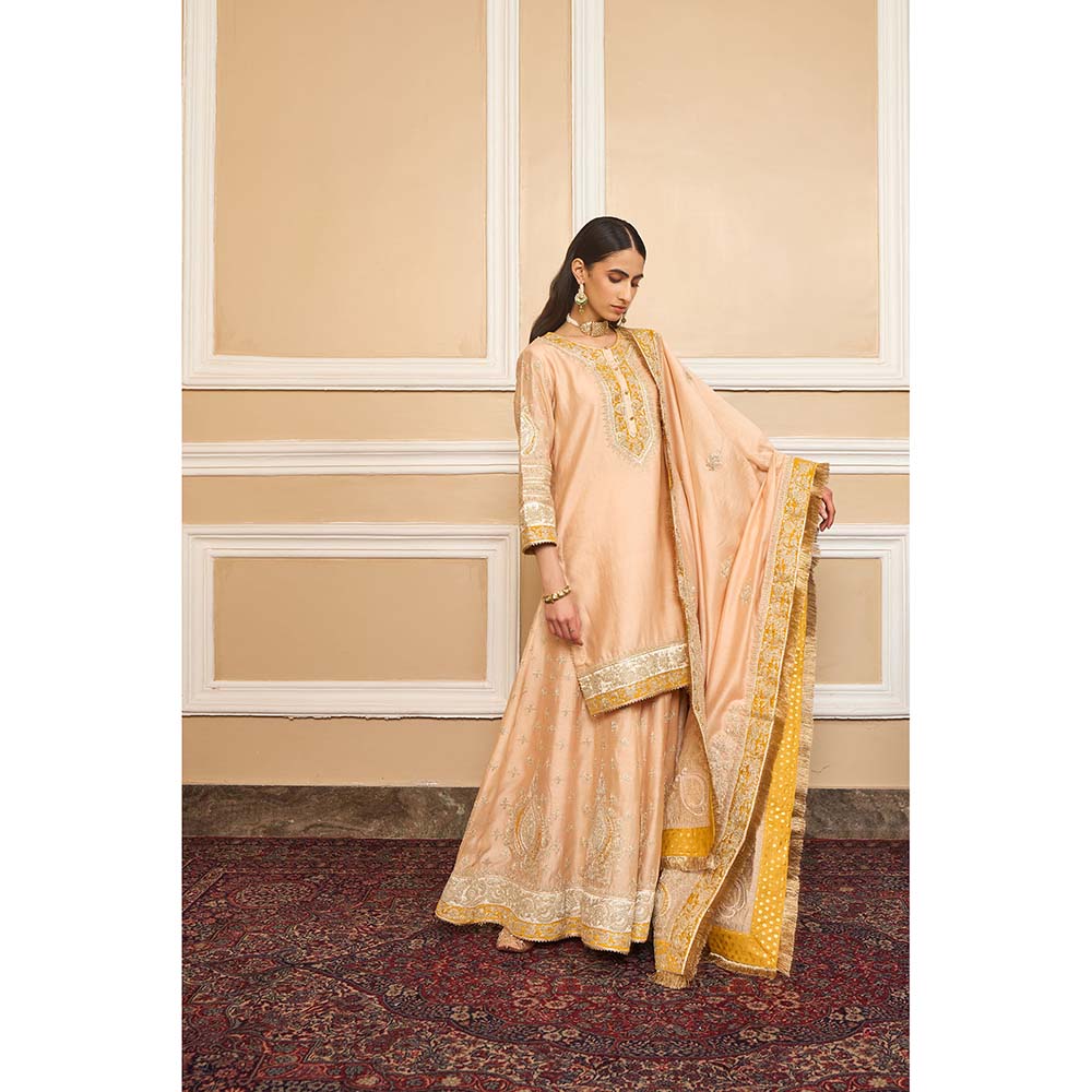Sheetal Batra Beige Kurta With Sharara And Dupatta (Set of 3)
