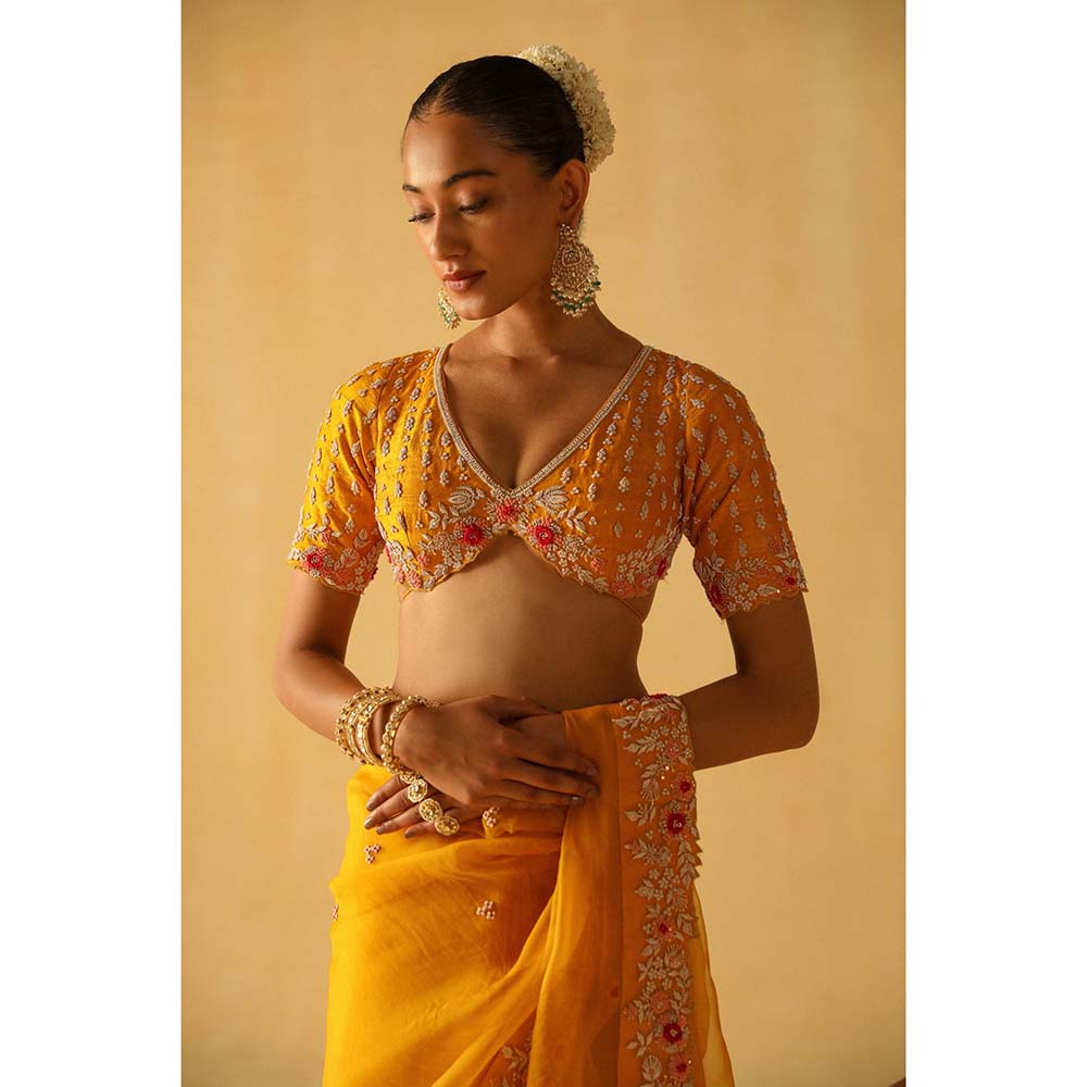 Sheetal Batra Afsa Mustard Embellished Saree with Stitched Blouse