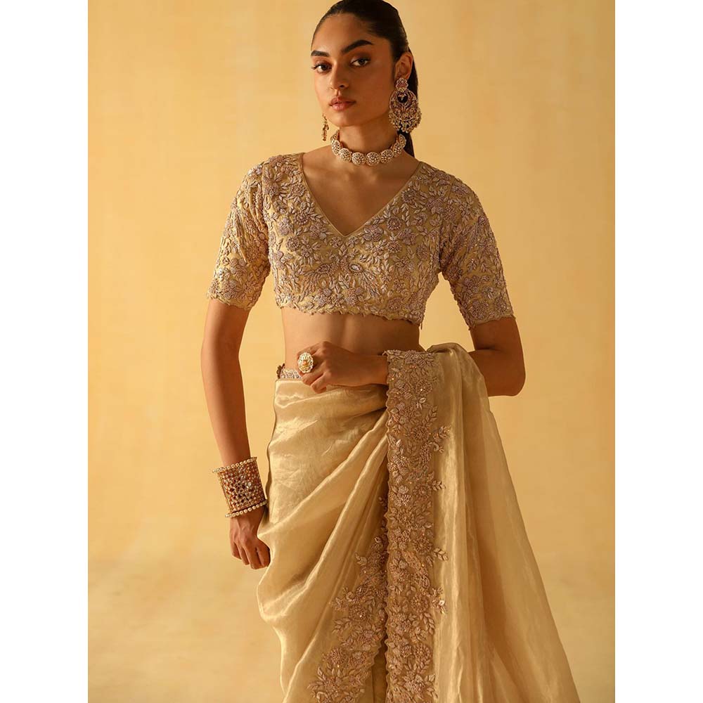 Sheetal Batra Maheen Beige Embellished Saree with Stitched Blouse