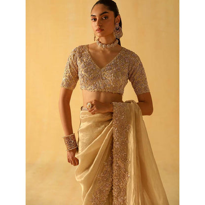 Sheetal Batra Maheen Beige Embellished Saree with Stitched Blouse