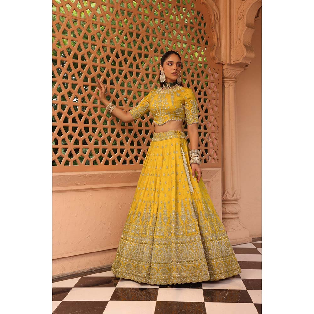 Sheetal Batra Uzma Yellow Lehenga with Blouse and Dupatta (Set of 3)