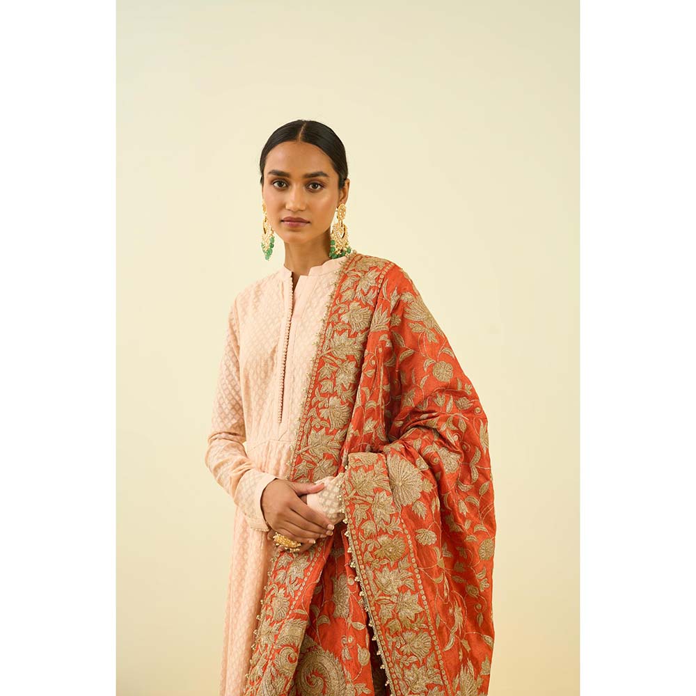 Sheetal Batra Pumpkin Orange Floral Tilla Embroidery Dupatta
