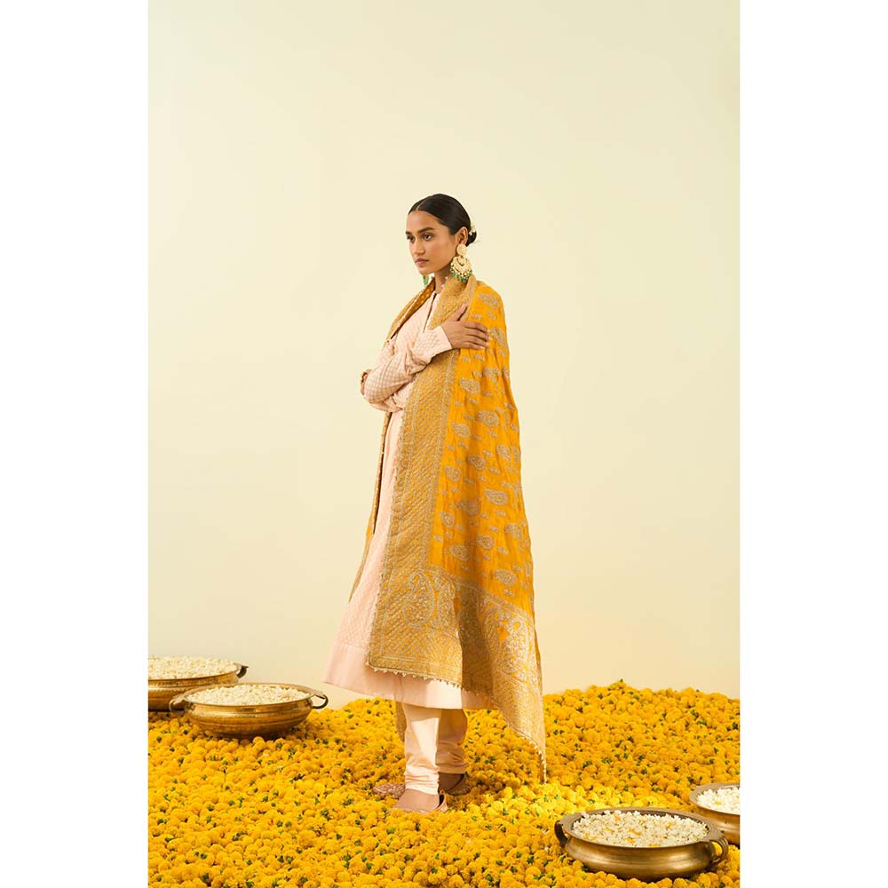 Sheetal Batra Glaze Mustard Paisley Tilla Embroidery Dupatta