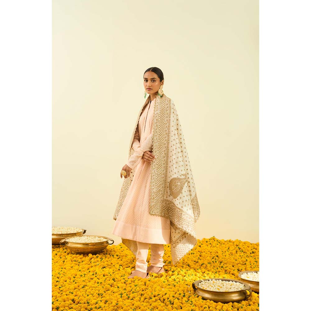 Sheetal Batra Daisy Ivory Tilla Embroidery Dupatta
