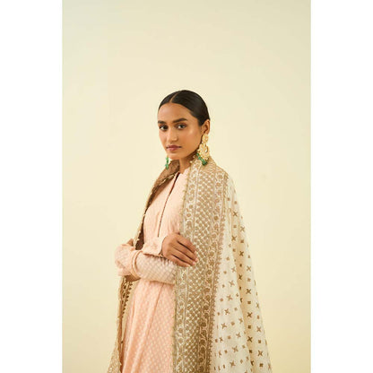 Sheetal Batra Daisy Ivory Tilla Embroidery Dupatta