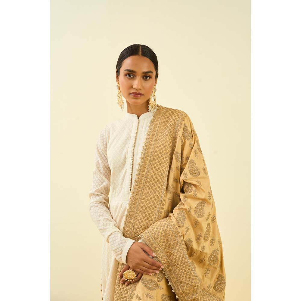 Sheetal Batra Gold Tilla Embroidery Dupatta