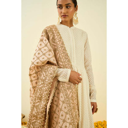Sheetal Batra Rose Gold Seguidilla Embroidery Dupatta