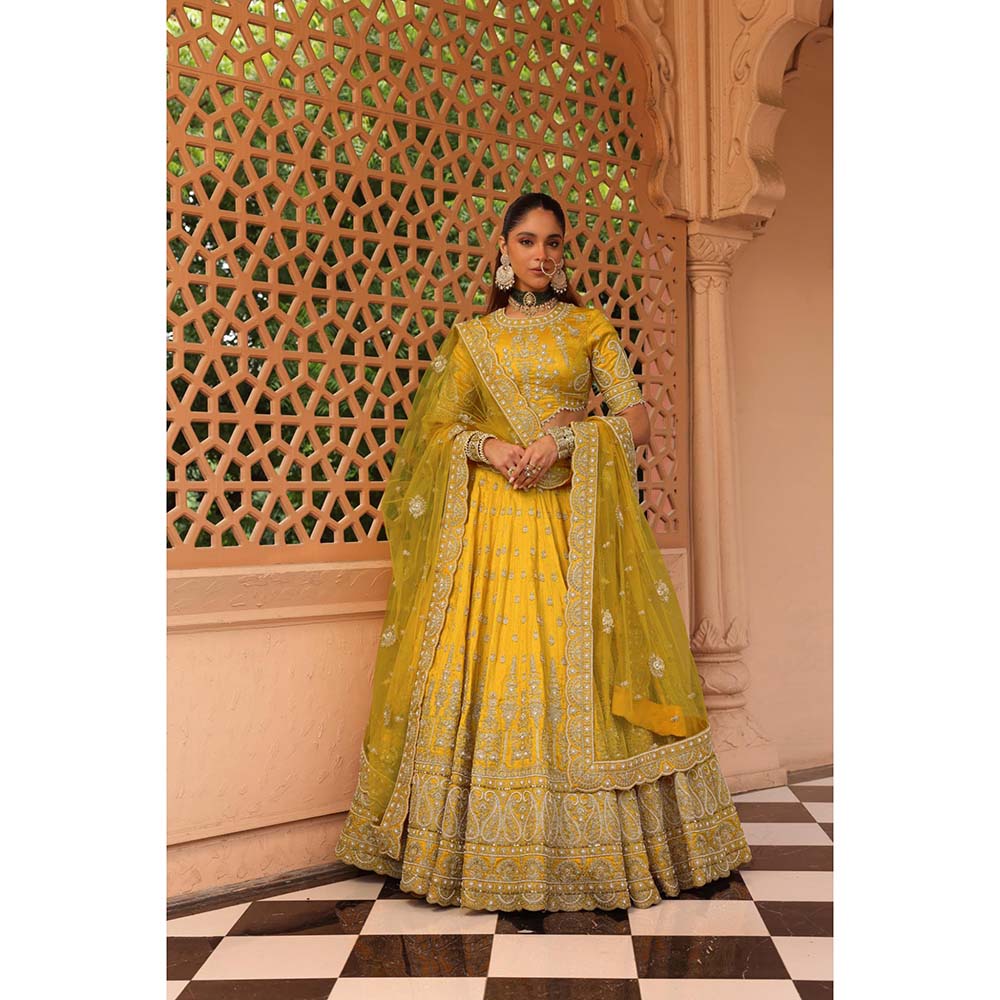 Sheetal Batra Uzma Mustard Lehenga with Blouse and Dupatta (Set of 3)