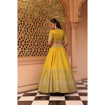 Sheetal Batra Uzma Mustard Lehenga with Blouse and Dupatta (Set of 3)