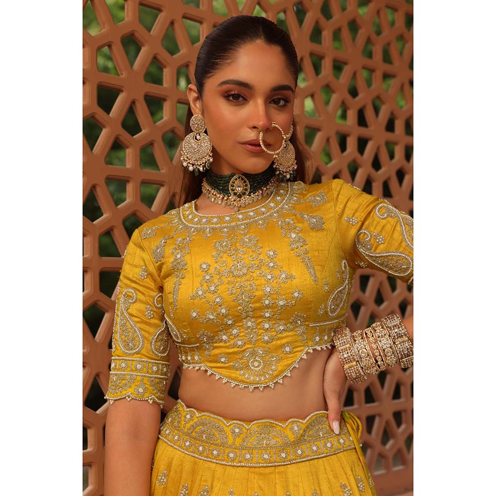Sheetal Batra Uzma Mustard Lehenga with Blouse and Dupatta (Set of 3)