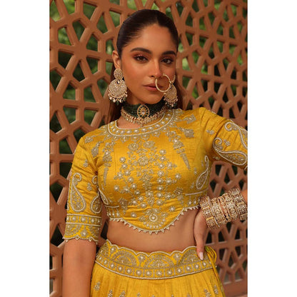 Sheetal Batra Uzma Mustard Lehenga with Blouse and Dupatta (Set of 3)